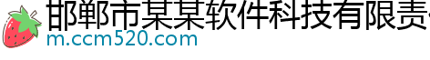 邯郸市某某软件科技有限责任公司